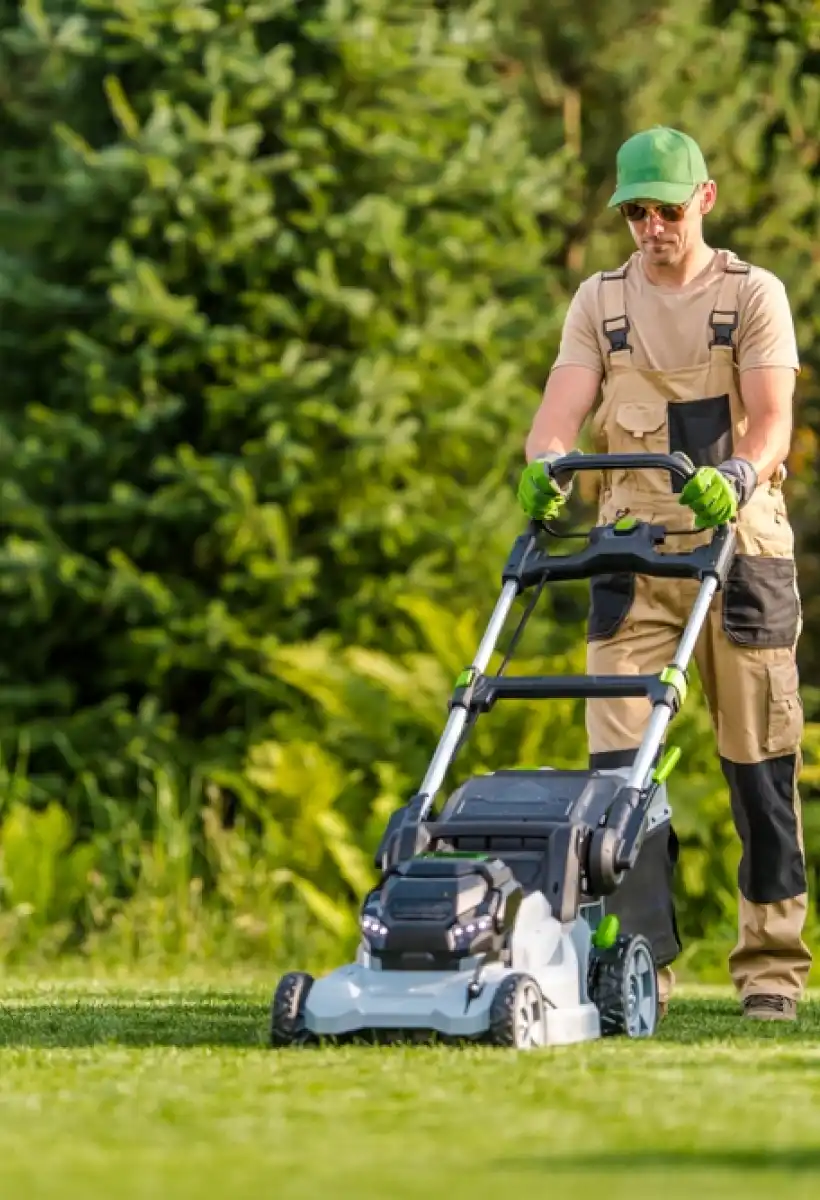 Gelly Paysage Defrichage A Randan Entretien De Jardins 3