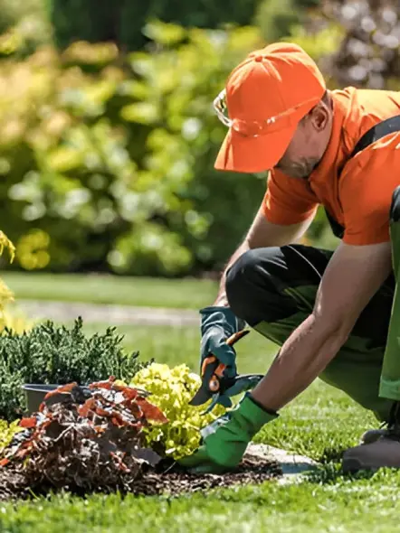 Gelly Paysage Defrichage A Randan Entretien De Jardins Gelly Paysage Defrichage A Randan Entretien De Jardins