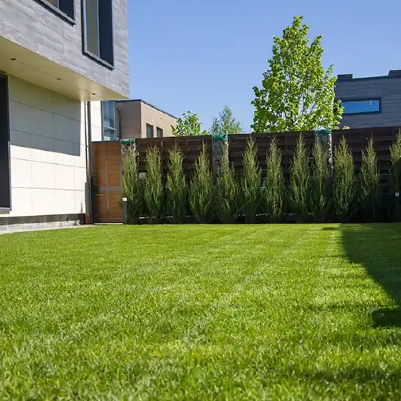 Gelly Paysage Defrichage A Randan Paysagiste 1