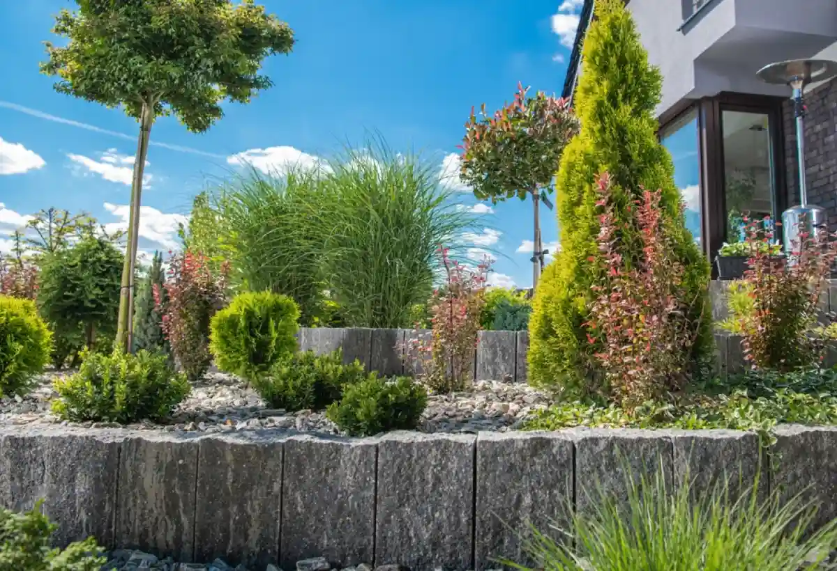 Gelly Paysage Defrichage A Randan Paysagiste 2