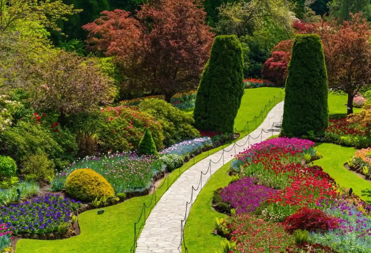 Gelly Paysage Defrichage A Randan Paysagiste 4