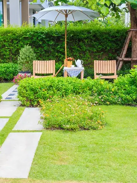 Gelly Paysage Defrichage A Randan Paysagiste 7 Gelly Paysage Defrichage A Randan Paysagiste 7